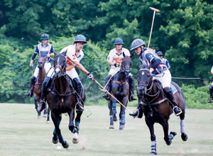 Polo Match 2017